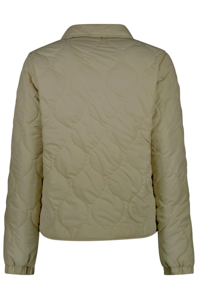 CALORA 62477 MOSS